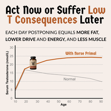 Natural Testosterone Booster