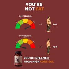 Natural Testosterone Booster