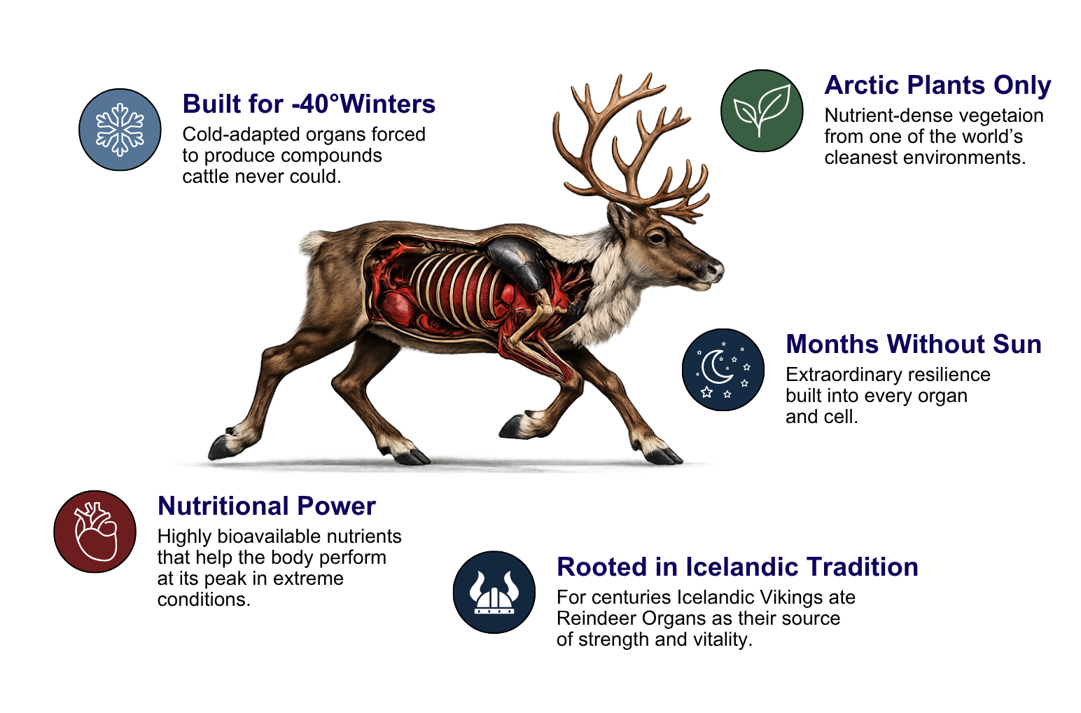 Why Reindeer Organs and Not Beef?